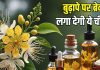 पुष्प ही नहीं… सुंदरता बढ़ाने के गुणों का खजाना है यह चीज! बढ़ती उम्र पर लगाती ब्रेक! जानें क्या कहता आयुर्वेद