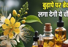 पुष्प ही नहीं… सुंदरता बढ़ाने के गुणों का खजाना है यह चीज! बढ़ती उम्र पर लगाती ब्रेक! जानें क्या कहता आयुर्वेद