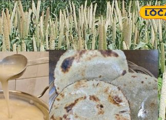 Bajra: Superfood for Health and Nutrition