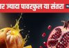 Orange vs Pomegranate Which Fruit is Healthier | संतरा और अनार में कौन सा फल सेहत के लिए ज्यादा फायदेमंद
