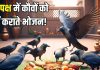 Pitru Paksha 2025: पितृपक्ष में कौए को भोजन क्यों कराते हैं? पितरों से इसका क्या संबंध, पढ़ें पौराणिक कथा