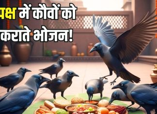 Pitru Paksha 2025: पितृपक्ष में कौए को भोजन क्यों कराते हैं? पितरों से इसका क्या संबंध, पढ़ें पौराणिक कथा