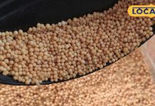 क्या आप जानते हैं पीली सरसों से कैसे बनते हैं घरेलू और आयुर्वेदिक नुस्खे?