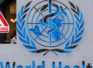 WHO की नई चेतावनी: भारत में बढ़ रही हैं ये नई बीमारियां,जानें इस बारें में!