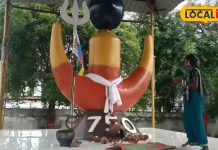 कोरबा का अनोखा आदिवासी शक्तिपीठ, जहां 36 जनजातियां करती हैं एक साथ पूजा, रहस्य जान हो जाएंगे हैरान