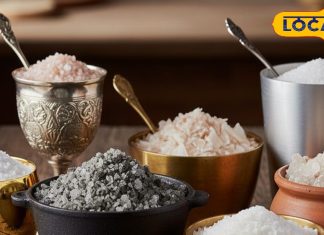नमक रखने का वास्तु नियम, सही जगह और बर्तन से आएगी बरकत, गलती पड़ सकती है भारी