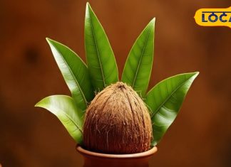 नवरात्रि में घट स्थापना का महत्व: हरिद्वार के पंडित से जानें