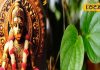 पान के पत्ते से ऐसे शांत करें शनि की साढ़ेसाती और ढैय्या, हनुमान जी भी होंगे प्रसन्न, ज्योतिषी ने बताया उपाय