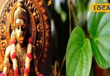पान के पत्ते से ऐसे शांत करें शनि की साढ़ेसाती और ढैय्या, हनुमान जी भी होंगे प्रसन्न, ज्योतिषी ने बताया उपाय