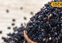 पितृपक्ष 2025: हरिद्वार में पितृ पूजा में काले तिल का महत्व और लाभ.