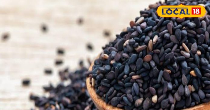 पितृपक्ष 2025: हरिद्वार में पितृ पूजा में काले तिल का