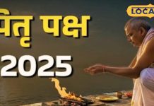 पितृपक्ष में लगाएं ये 3 पौधे, तरक्की चूमेगी आपके कदम, मिलेगा पूर्वजों का आशीर्वाद