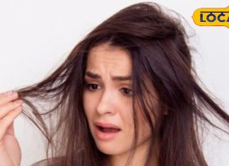 Hair Care Tips: दो मुंहे बालों से हैं परेशान? अपनाएं ये आसान घरेलू नुस्खे, हफ्ते भर में मिलेगा छुटकारा