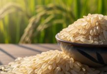 रात में चावल खाना चाहिए या नहीं? आयुर्वेद के अनुसार जानें इसके फ़ायदे और नुकसान!