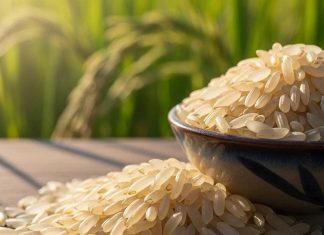 रात में चावल खाना चाहिए या नहीं? आयुर्वेद के अनुसार जानें इसके फ़ायदे और नुकसान!