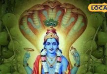 Amla Navmi 2025: इस दिन घर लाएं ये 5 चीजें, खुलेंगे भाग्य के द्वार, सालभर बरसेगी मां लक्ष्मी कृपा!