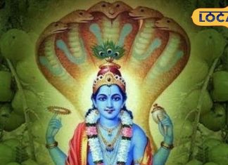 Amla Navmi 2025: इस दिन घर लाएं ये 5 चीजें, खुलेंगे भाग्य के द्वार, सालभर बरसेगी मां लक्ष्मी कृपा!