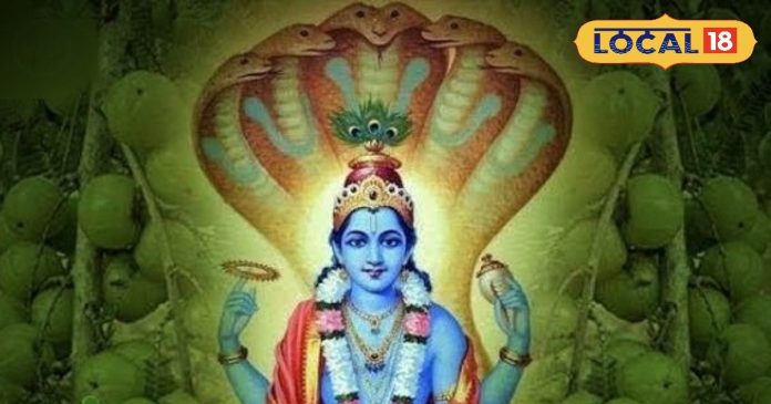 Amla Navmi 2025: इस दिन घर लाएं ये 5 चीजें,