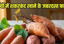 Benefits of eating sweet potato in winter: सर्दियों में शकरकंद खाने के फायदे