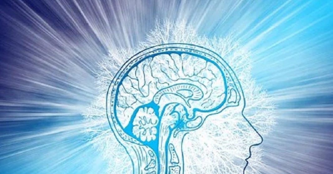 Brain Boosting Foods: हर रोज खाएंगे ये फूड्स तो आपके बच्चे का IQ लेवल पर होगा ऐसा असर कि…