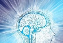 Brain Boosting Foods: हर रोज खाएंगे ये फूड्स तो आपके बच्चे का IQ लेवल पर होगा ऐसा असर कि…