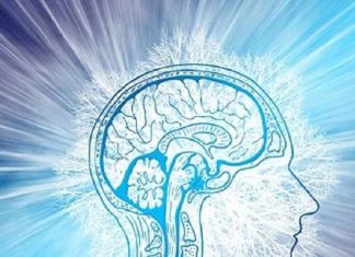 Brain Boosting Foods: हर रोज खाएंगे ये फूड्स तो आपके बच्चे का IQ लेवल पर होगा ऐसा असर कि…