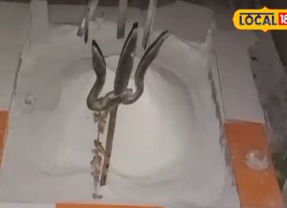 Chitrakoot News : चित्रकूट में यहां महर्षि मार्कंडेय की तपोस्थली, यहीं उनकी ससुराल, जानें राम से कनेक्शन