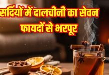 Health benefits of Dalchini in winter: सर्दियों में दालचीनी खाने के फायदे
