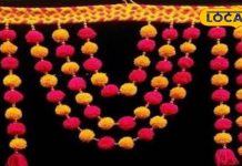 Diwali 2025: दिवाली पर मां लक्ष्मी को प्रसन्न करने का खास राज़! पंडित जी बोले-इन पत्तों से बनाएं तोरण, बरसेगी अपार समृद्धि