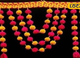 Diwali 2025: दिवाली पर मां लक्ष्मी को प्रसन्न करने का खास राज़! पंडित जी बोले-इन पत्तों से बनाएं तोरण, बरसेगी अपार समृद्धि