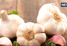 Garlic Health Benefits: रोज क्यों खाना चाहिए 3 कच्चा लहसुन? जानें कैसे बनता है शरीर के लिए सुपर सुरक्षा कवच!