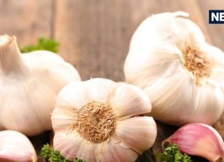Garlic Health Benefits: रोज क्यों खाना चाहिए 3 कच्चा लहसुन? जानें कैसे बनता है शरीर के लिए सुपर सुरक्षा कवच!