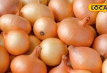 Onion For Diabetes: डायबिटीज के मरीज हर दिन खाएं ये सब्जी, शरीर से कोसों दूर रहेंगी ये खतरनाक बीमरियां – Jharkhand News