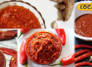 Schezwan Sauce Recipe: बाजार से खरीदने का झंझट खत्म, घर पर ही बनाएं तीखी-झन्नाटेदार सेजवान सॉस, चलती है महीनों!