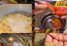 This sag chutney – Jharkhand News