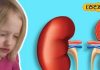 Health Tips : बच्चों में अगर दिखें ये 5 लक्षण… तो समझें मंडरा रहा किडनी पर खतरा! भूलकर भी न करें नजरंदाज – Uttar Pradesh News