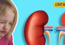 Health Tips : बच्चों में अगर दिखें ये 5 लक्षण… तो समझें मंडरा रहा किडनी पर खतरा! भूलकर भी न करें नजरंदाज – Uttar Pradesh News
