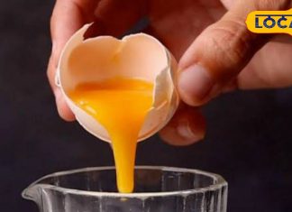 Health:क्या दूध में कच्चा अंडा डालकर पीना है फायदेमंद? एक्सपर्ट ने बताया सही-गलत – Chhattisgarh News