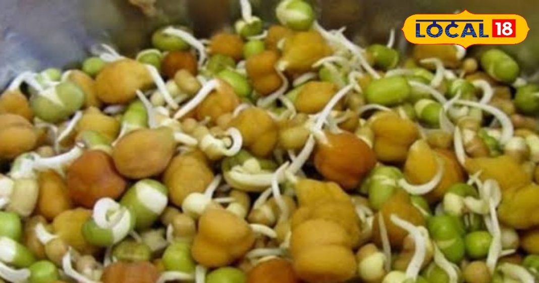 Healthy Breakfast: सुबह के वक्त कुछ खाना है हेल्दी, तो इस आसान तरीके से घर पर बनाएं स्प्राउट्स