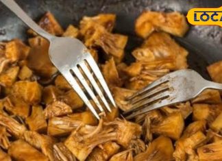 Health Tips: कटहल को नजरअंदाज न करें, यही है आपकी इम्युनिटी का सबसे सस्ता ‘हेल्थ बूस्टर’, जान लें सभी फायदे