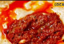Recipe: 20 दिन तक नहीं खराब होगी ये देसी चटनी, सफर वालों का फेवरेट, जानें रेसिपी