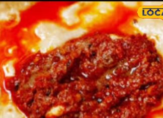 Recipe: 20 दिन तक नहीं खराब होगी ये देसी चटनी, सफर वालों का फेवरेट, जानें रेसिपी