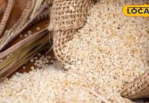 पहाड़ों का ये ‘जादुई बाजरा’… कर देगा महंगे प्रोटीन सप्लीमेंट की छुट्टी, डायबिटीज़ में कारगर! हड्डी, मांसपेशियों के लिए बेस्ट – Uttarakhand News