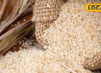 पहाड़ों का ये ‘जादुई बाजरा’… कर देगा महंगे प्रोटीन सप्लीमेंट की छुट्टी, डायबिटीज़ में कारगर! हड्डी, मांसपेशियों के लिए बेस्ट – Uttarakhand News