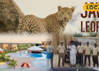 Jawai Safari Luxury Resorts | Best Resorts in Jawai | Jawai Wildlife Stay | Luxury Stay Rajasthan