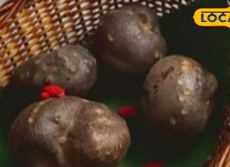 ठंड की पहाड़ी ‘संजीवनी’ है ये सब्जी…कैंसर, गठिया, BP के लिए फायदेमंद! ऐसे करें इस्तेमाल – Uttarakhand News