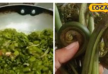 नॉन वेज से ज्यादा तगड़ी है ये पहाड़ी सब्जी, स्वाद में भी होती है एक नंबर; रोज के जायके में लगा देगी चार चांद – Uttarakhand News