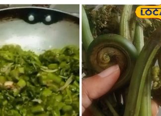 नॉन वेज से ज्यादा तगड़ी है ये पहाड़ी सब्जी, स्वाद में भी होती है एक नंबर; रोज के जायके में लगा देगी चार चांद – Uttarakhand News