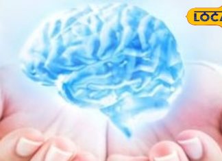 Health News: सिरदर्द, गर्दन दर्द या धुंधला दिखना…नजरअंदाज न करें ये लक्षण, देश के टॉप न्यूरोलॉजिस्ट्स से जानें आसान इलाज