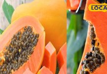 सावधान! इन लोगों के लिए जहर से कम नहीं है पपीता, भूलकर भी न करें सेवन, फायदे की जगह हो जाएगा नुकसान – Uttar Pradesh News